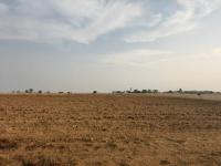 Smallholding for Sale for sale in Polokwane