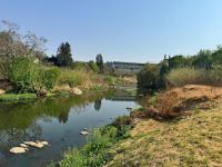  of property in Dainfern