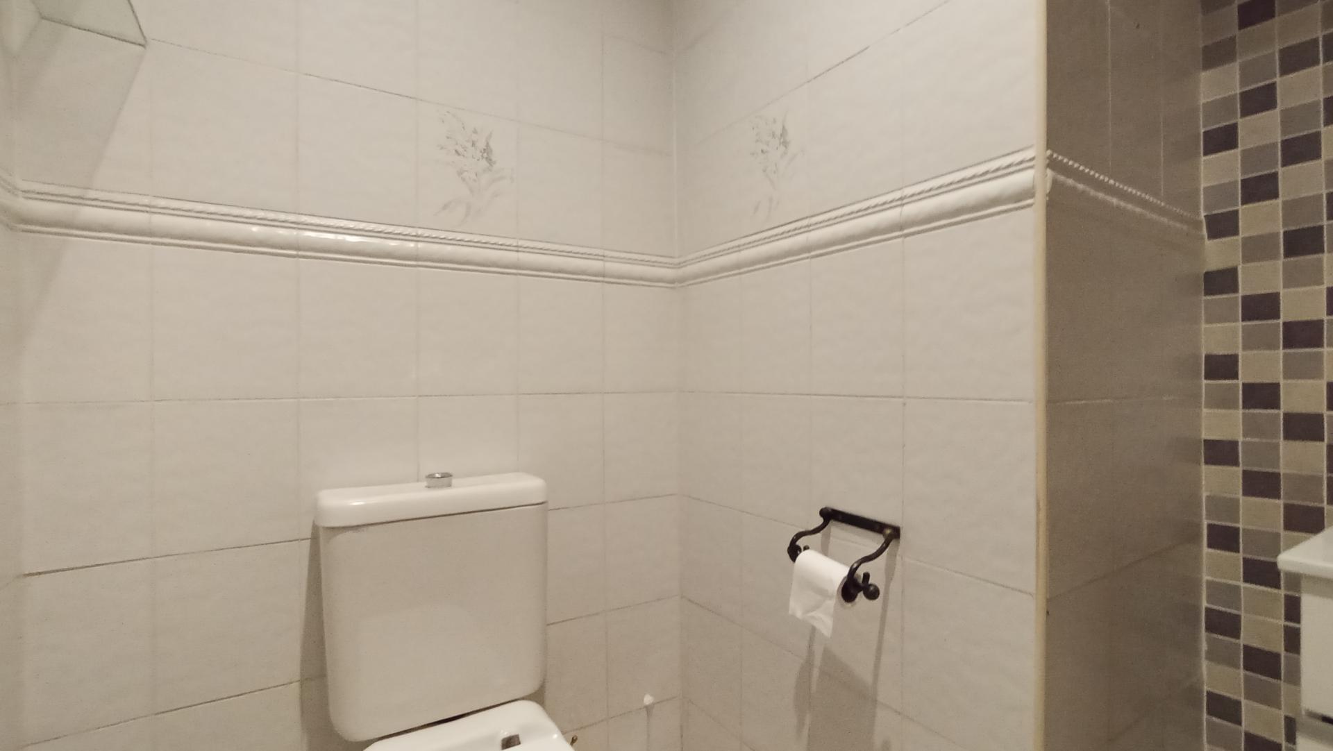 Guest Toilet - 4 square meters of property in Dowerglen