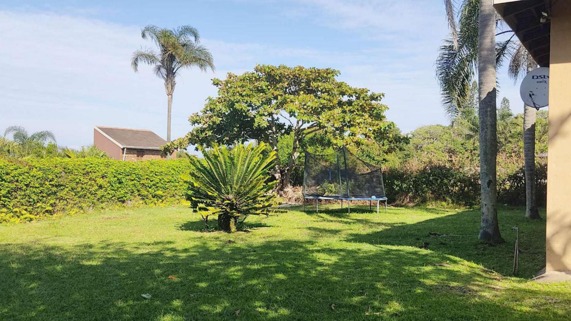 Backyard of property in Port Edward