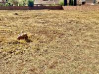 of property in Emalahleni (Witbank) 