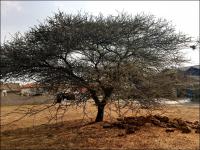  of property in Bendor