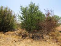 Land for Sale for sale in Thabazimbi