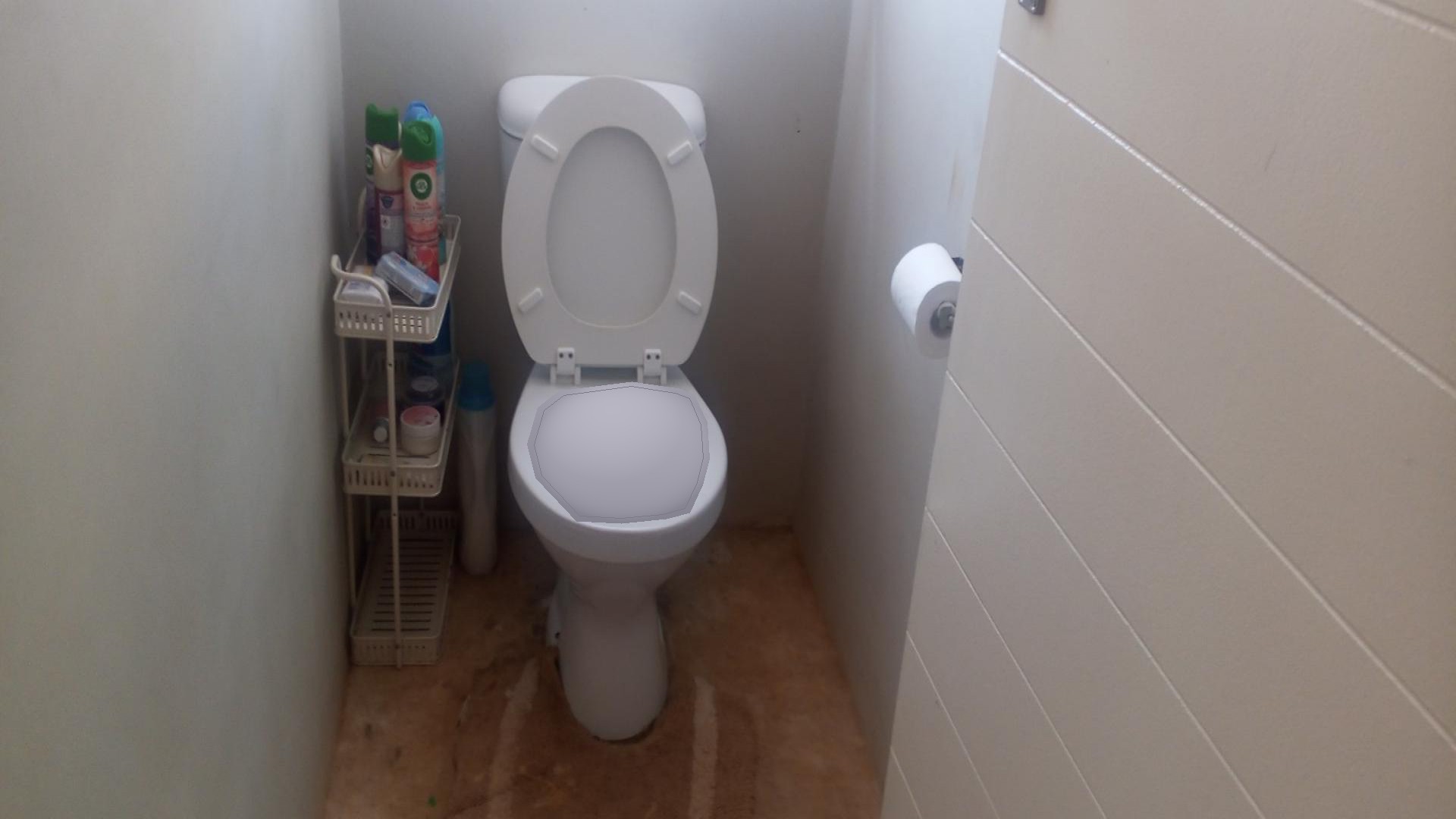 Bathroom 1 - 2 square meters of property in Lehae