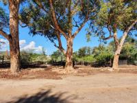 Land for Sale for sale in Steytlerville
