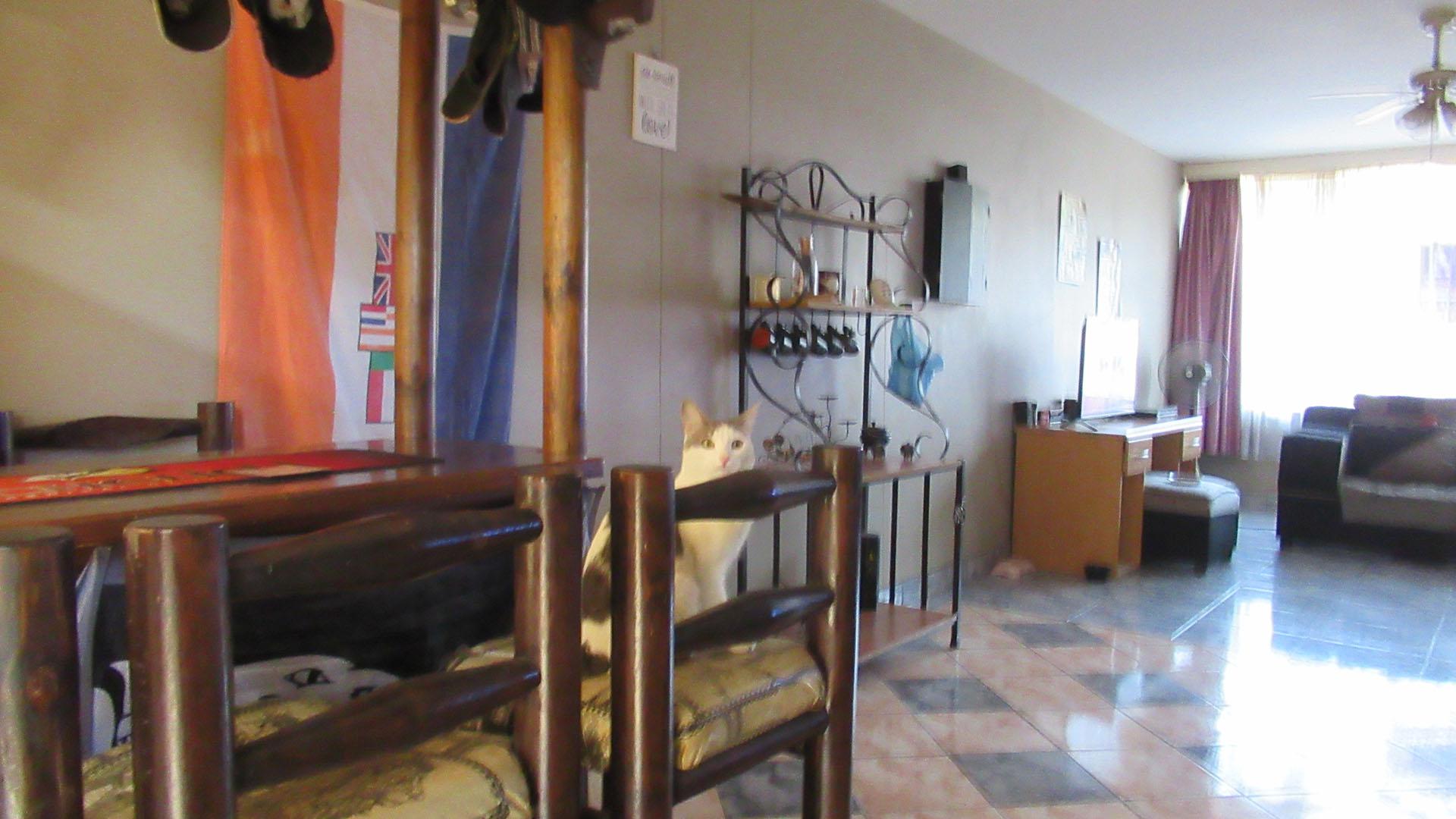 Dining Room - 7 square meters of property in Dinwiddie