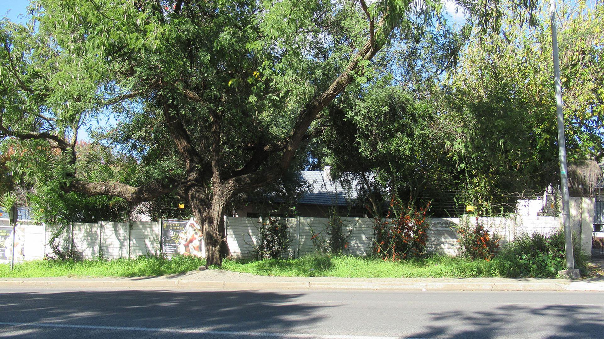 Front View of property in Blairgowrie