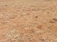 Land for Sale for sale in Bendor
