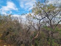 of property in Cashan  of property in Cashan