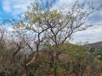 of property in Cashan  of property in Cashan