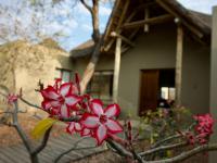  of property in Hoedspruit