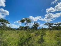  of property in Hoedspruit
