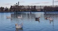 Farm for Sale for sale in Calvinia