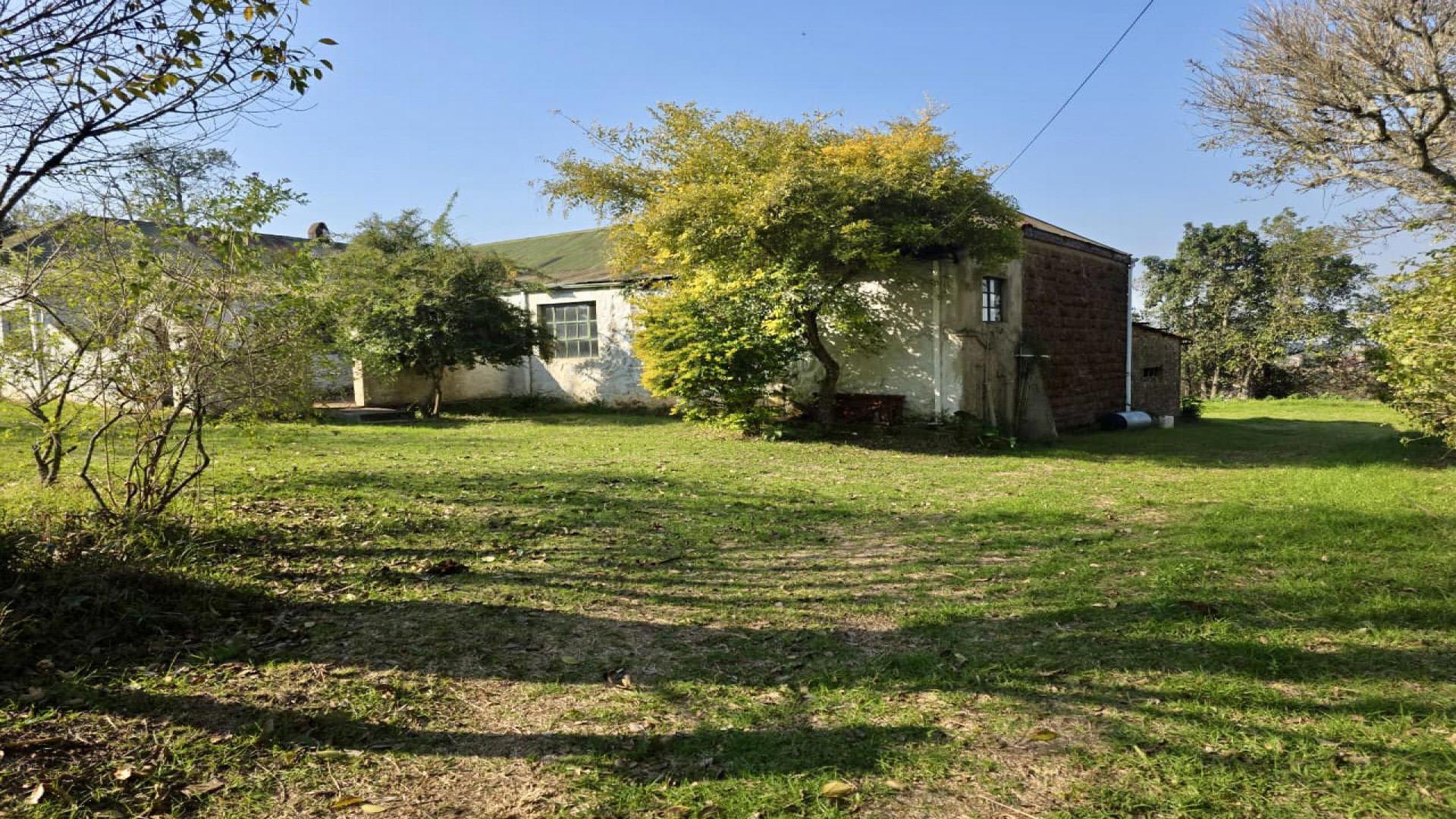Backyard of property in Louwsburg