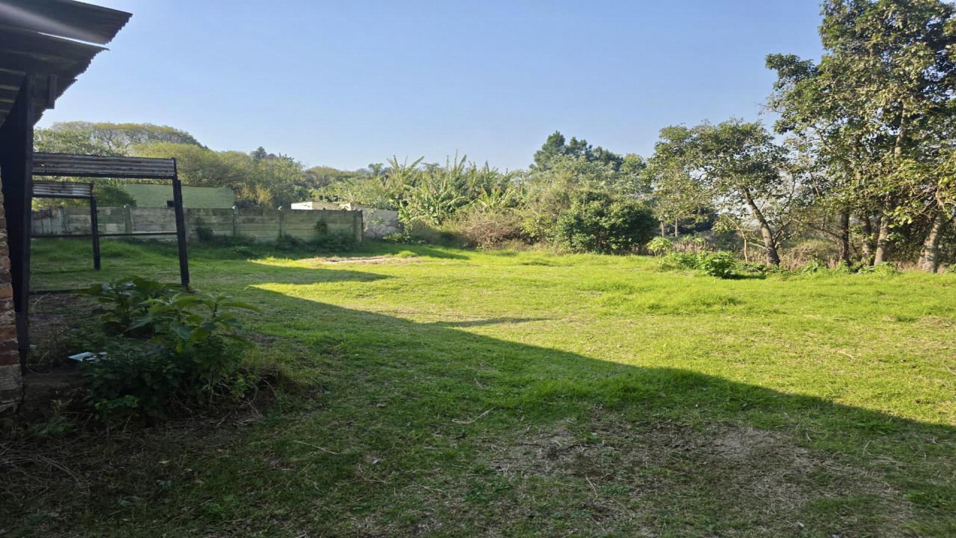 Backyard of property in Louwsburg