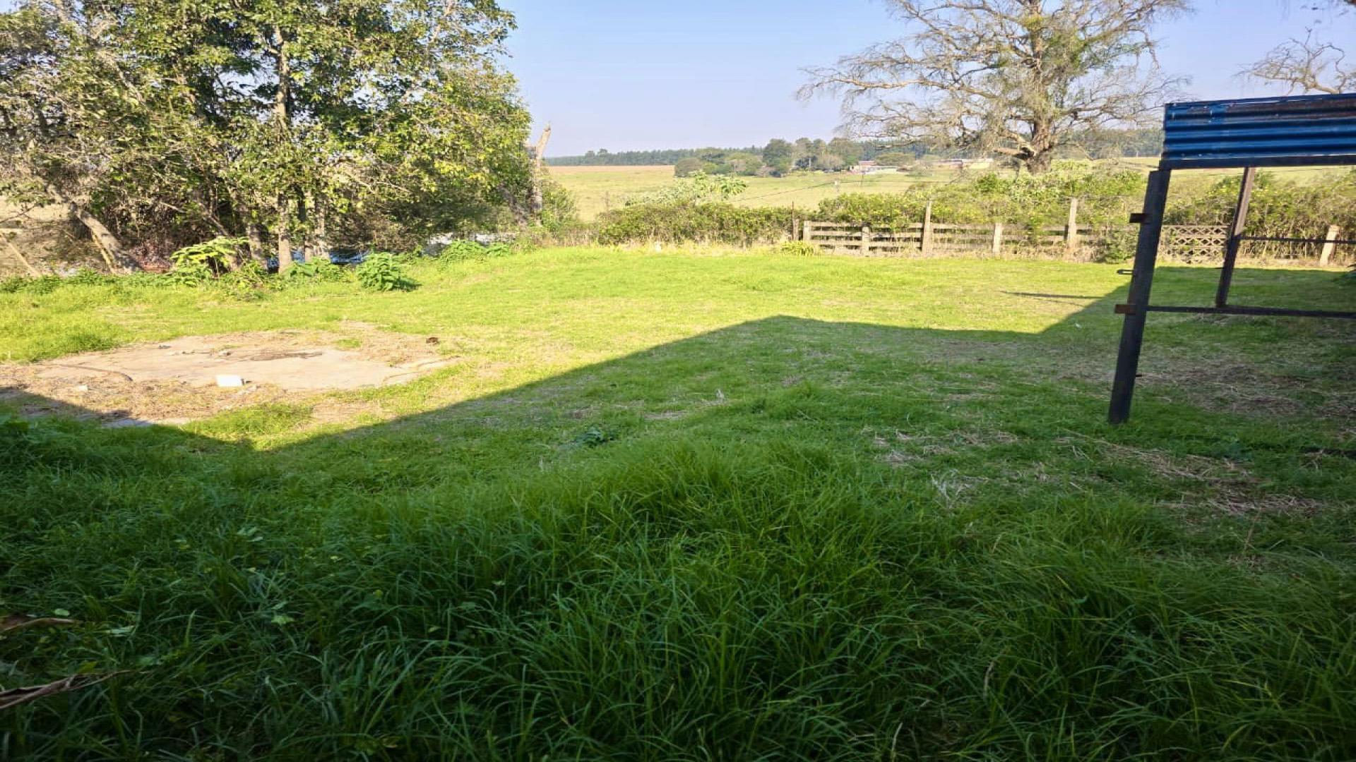 Backyard of property in Louwsburg
