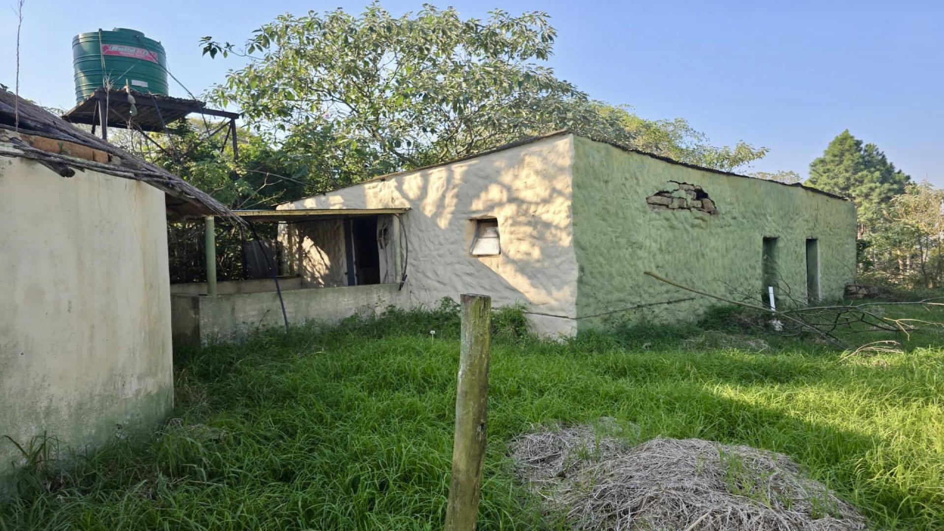 Backyard of property in Louwsburg