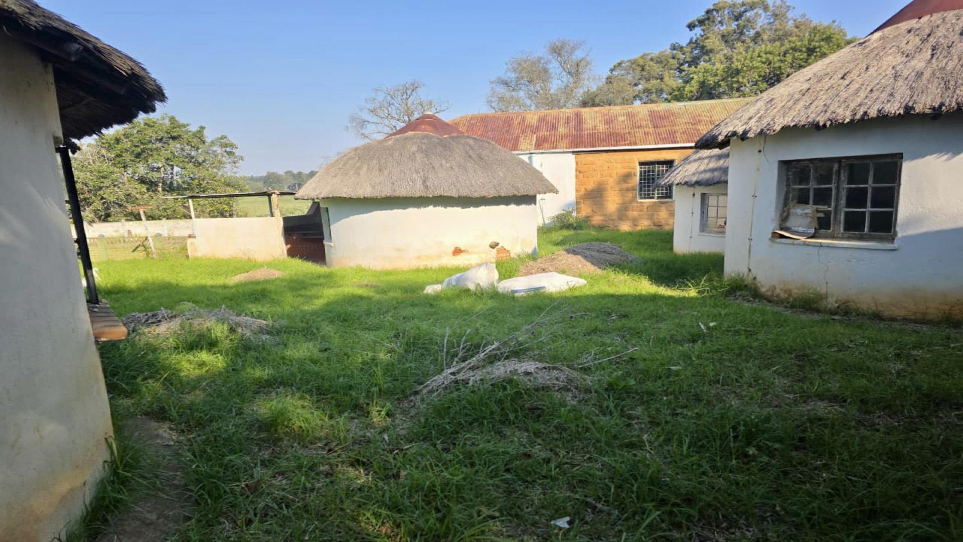 Backyard of property in Louwsburg