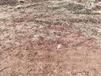  of property in Cashan