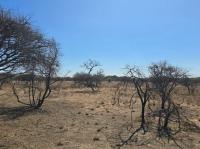  of property in Tweefontein
