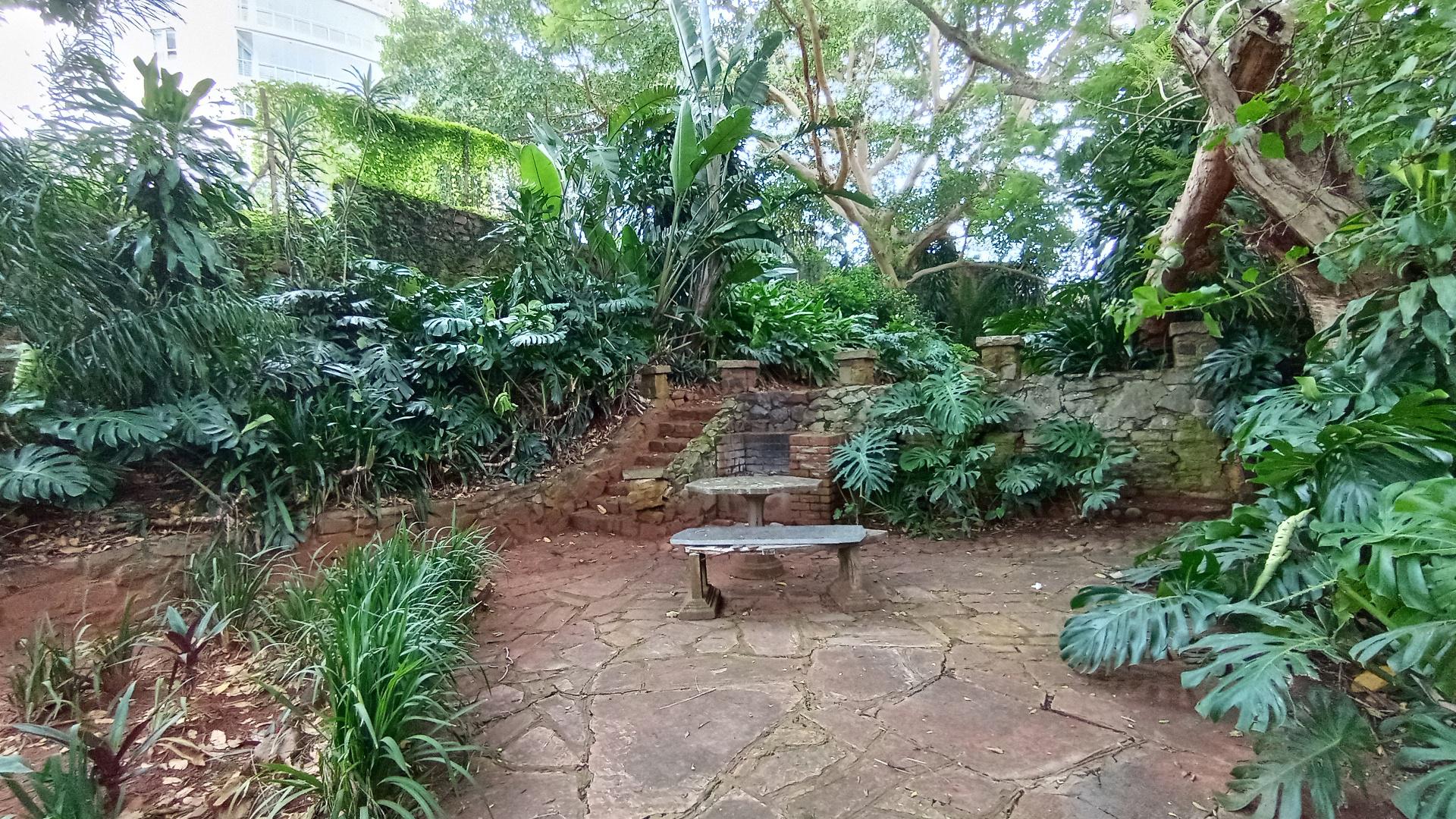 Garden of property in Bulwer (Dbn)