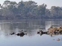 Farm for Sale for sale in Parys