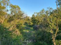 Land for Sale for sale in Hoedspruit