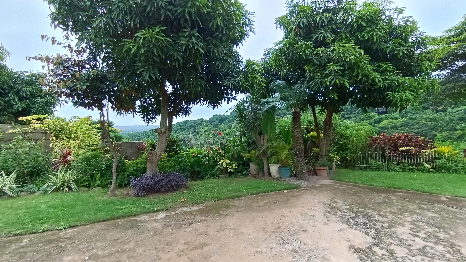 Garden of property in Verulam 