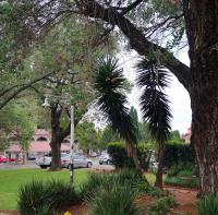  of property in Albertville