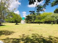  of property in Walkerville
