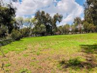  of property in Walkerville