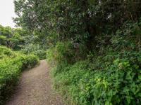  of property in East Bank