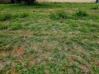  of property in Bendor