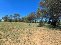  of property in Homestead Apple Orchards AH