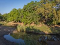  of property in Hoedspruit