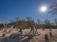 of property in Hoedspruit