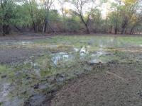  of property in Lephalale (Ellisras)