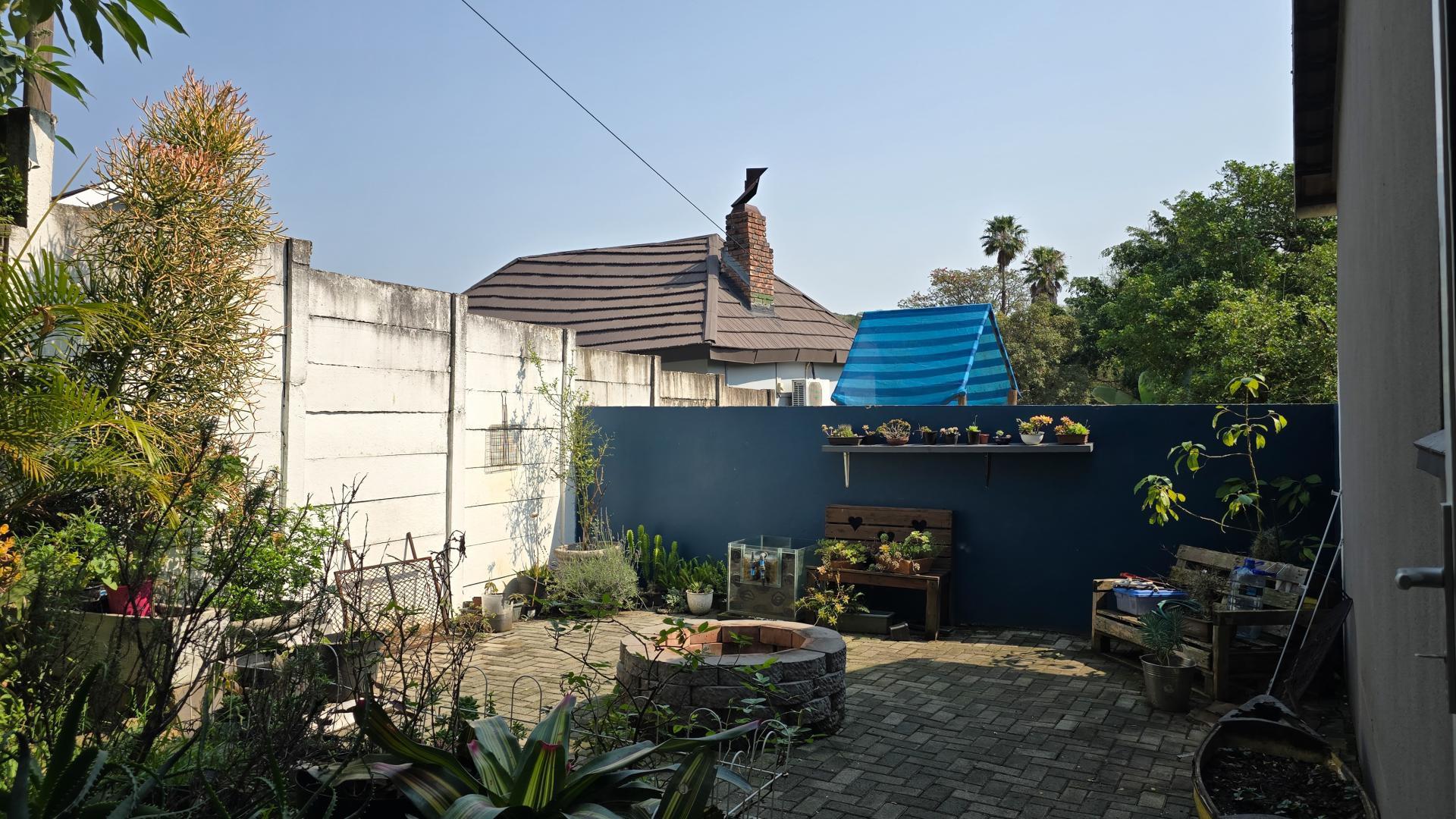 Backyard of property in East London