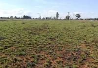 Smallholding for Sale for sale in Westonaria