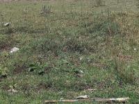 Land for Sale for sale in Vanderbijlpark