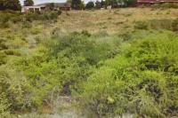 Land for Sale for sale in Patensie