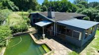 Backyard of property in Athlone