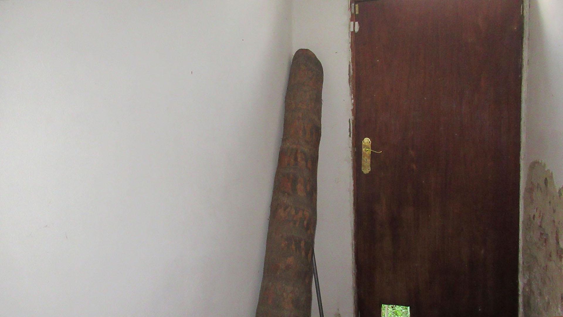 Spaces - 17 square meters of property in Orange Grove