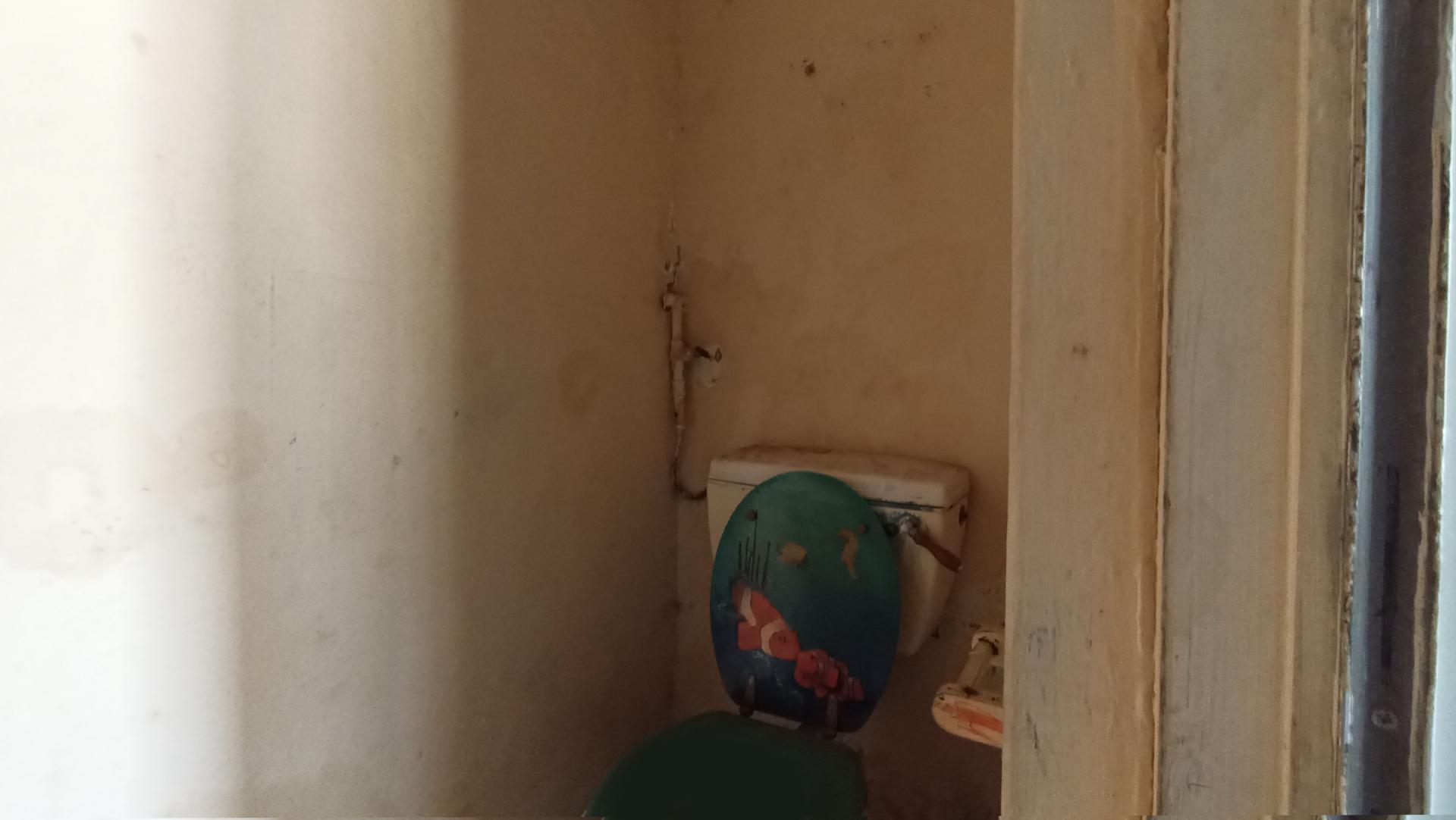 Bathroom 1 - 8 square meters of property in Homestead