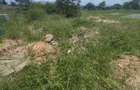 Land for Sale for sale in Sterpark
