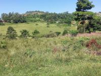  of property in Inchanga