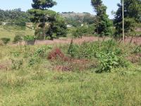  of property in Inchanga