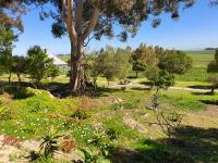  of property in Paarl