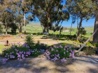  of property in Paarl