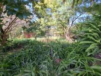  of property in Elandsfontein